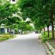 Bán biệt thự Thanh Hà A2.10 BT01 diện tích 230m2, mặt tiền 10m, mặt đường 20,5m, gần kênh và trường học #H5376.22